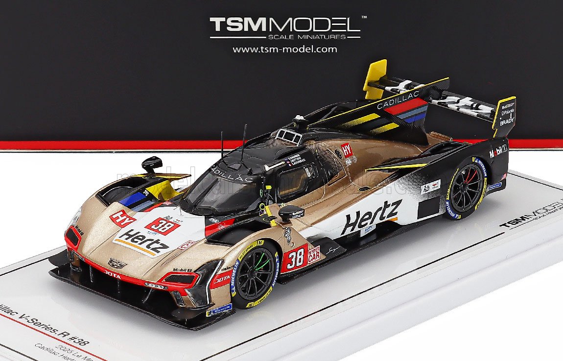 CADILLAC - V-SERIES R 5.5L V8 TEAM HERTZ JOTA N 38 24h LE MANS
