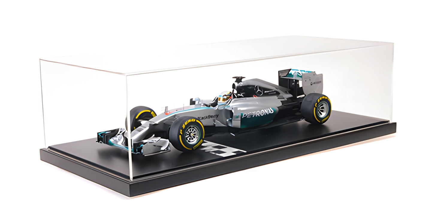 MERCEDES AMG W05 LEWIS HAMILTON WORLD CHAMPION 2014