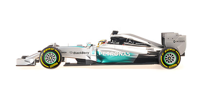 MERCEDES AMG W05 LEWIS HAMILTON WORLD CHAMPION 2014