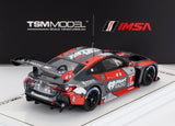 BMW | 4-SERIES M4 GT3 TEAM PAUL MILLER RACING N 1 12h SEBRING 2024 BRYAN SELLERS - MADISON SNOW - NEIL VERHAGEN