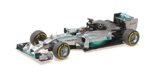 MERCEDES AMG W05 LEWIS HAMILTON WORLD CHAMPION 2014