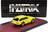 Triumph TR6 Shooting Brake Station Wagon 1974 Yellow Matrix Scale Models 1:43 scale model - image 2