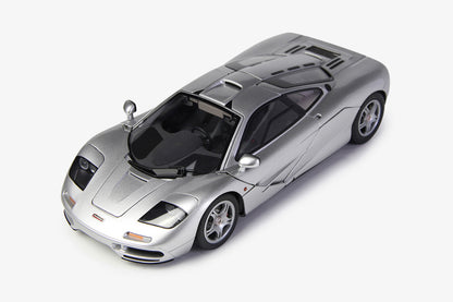 McLAREN F1 XP5 SILVER