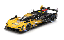 CADILLAC V-SERIES.R #01 CADILLAC RACING IMSA 12H SEBRING 2024