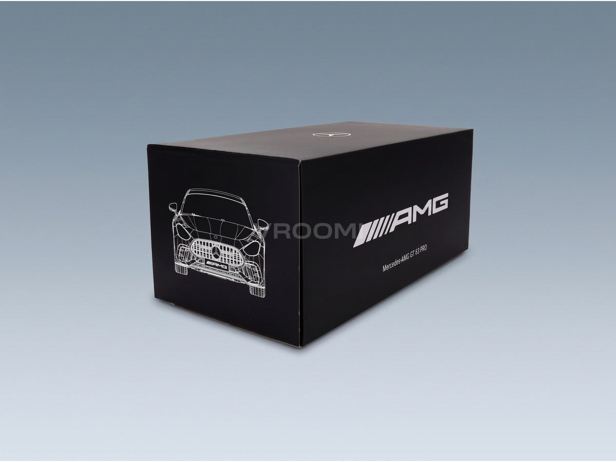 MERCEDES BENZ - GT AMG PRO 2025 - ALPIN GREY - box