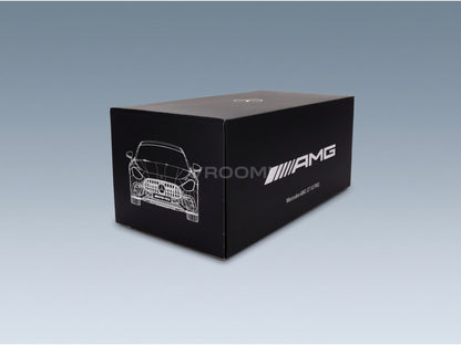 MERCEDES BENZ - GT AMG PRO 2025 - ALPIN GREY - box