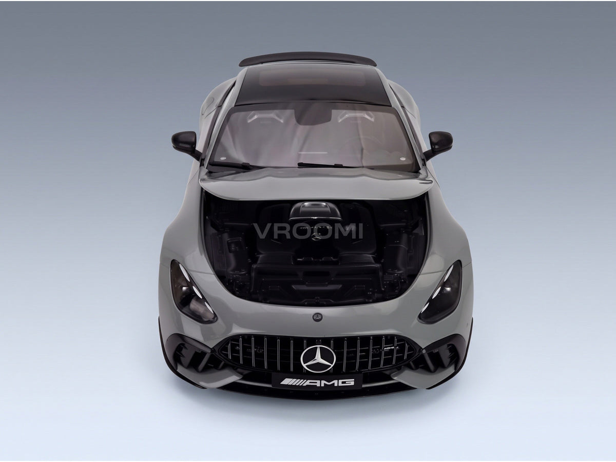 MERCEDES BENZ - GT AMG PRO 2025 - ALPIN GREY - engine